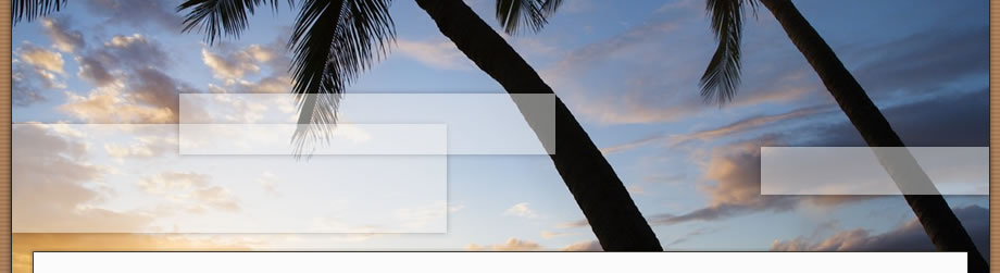 Header Graphic